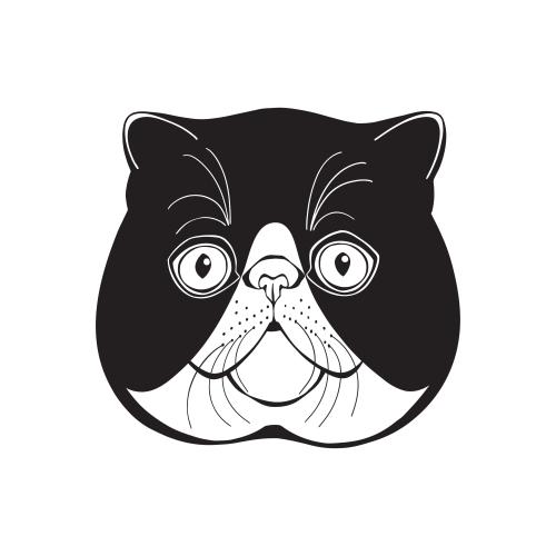 Exotic cat. Vector exotic cat, cute face on white