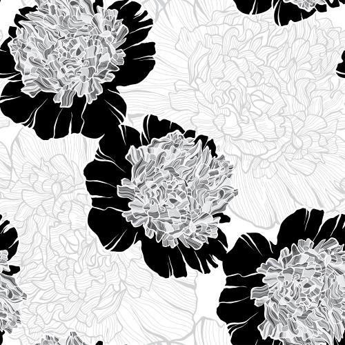 Peony. Vector peonies silhouettes and contours on white