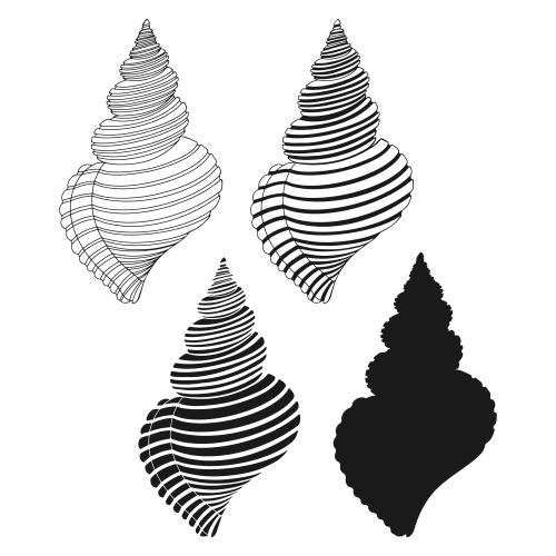 Illustration shells on white, four options