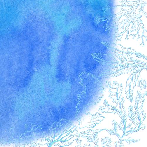 Seaweed. Vector seaweed corals blue watercolor fragment with a text area