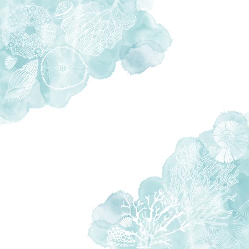 Vector image shells, sea urchin, nautilus, underwater creatures, algae, corals on blue watercolor, text area on white