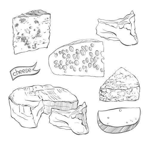 Cheese. Vector six types of cheese contour drawing sketch on white