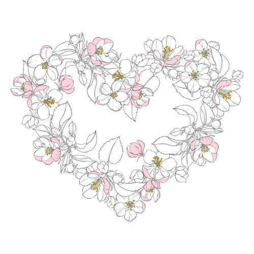 Illustration heart from apple tree flowers on white