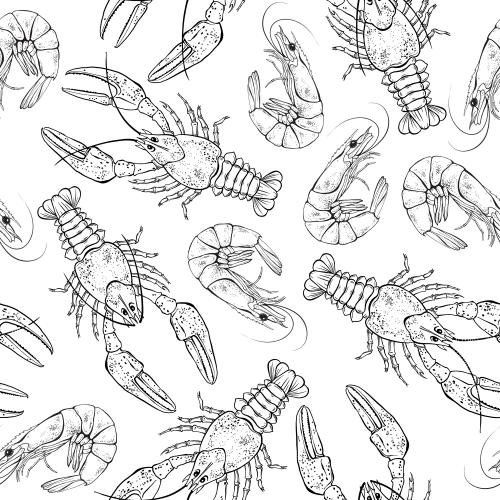 Crayfish. Vector crabs and shrimp on white