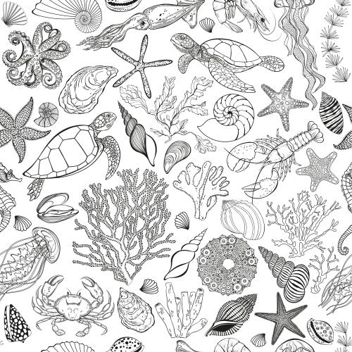 Turtle. Vector marine animals corals algae sea stars shells on white