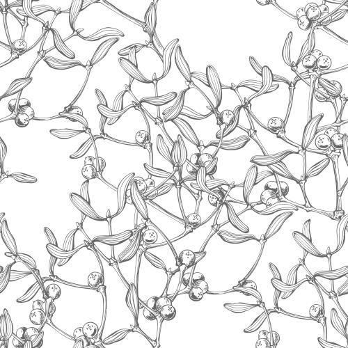 Vector image twigs of mistletoe on white