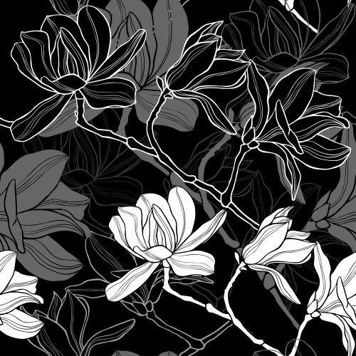Magnolia. Vector magnolia flowers, silhouettes and contours on black