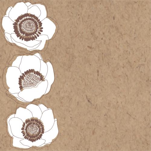 Anemone. Vector anemones place for text on craft
