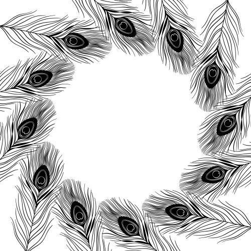 Peacock feather. Vector round multicolored peacock feathers frame on white