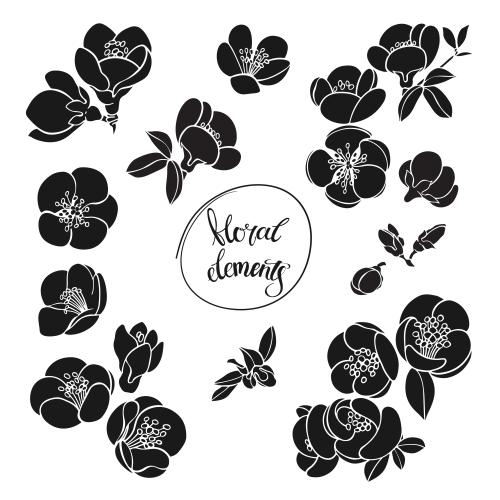 Illustration flowers of japanese quince, black silhouettes on white