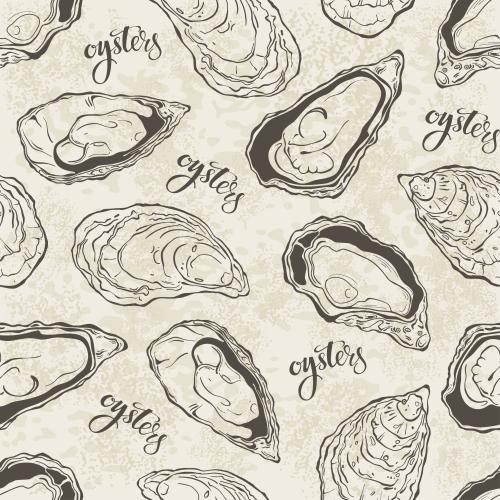 Oyster. Vector oysters, inscription oysters on textured light