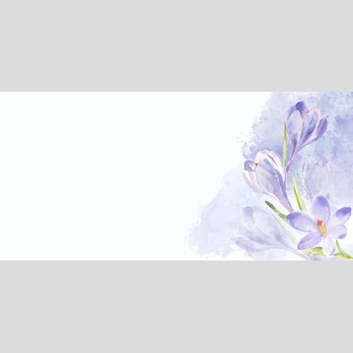 Raster image watercolor crocus flowers on a watercolor lavender fragment space for text on white