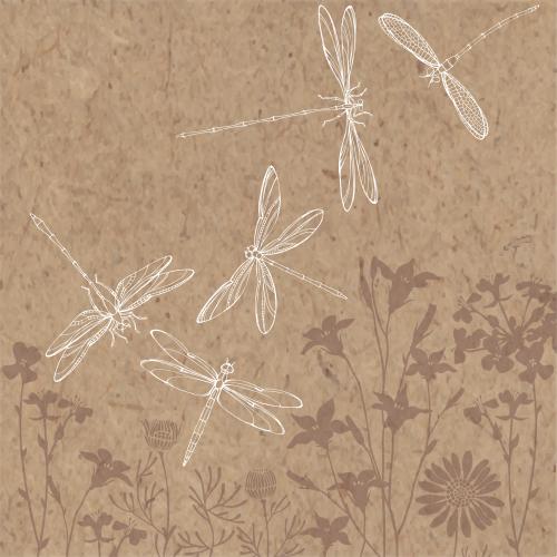 Dragonfly. Vector dragonflies, silhouettes of field flowers on craft