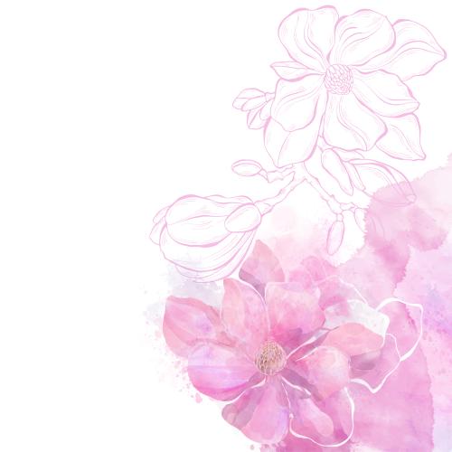 Bud. Vector magnolia on pink watercolor, space for text on white