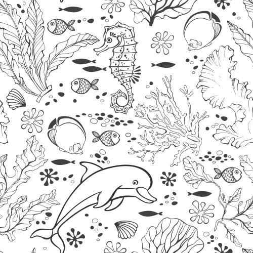 Shell. Vector dolphin seahorse fish seaweeds and corals on white