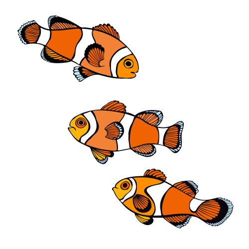 Vector image clown fish, three colored variants on white