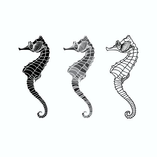 Vector image sea horses three different options on white