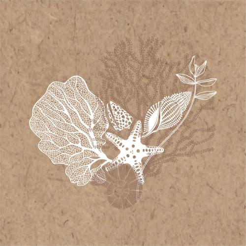 Illustration marine composition with sea star nautilus shells corals seaweed on craft