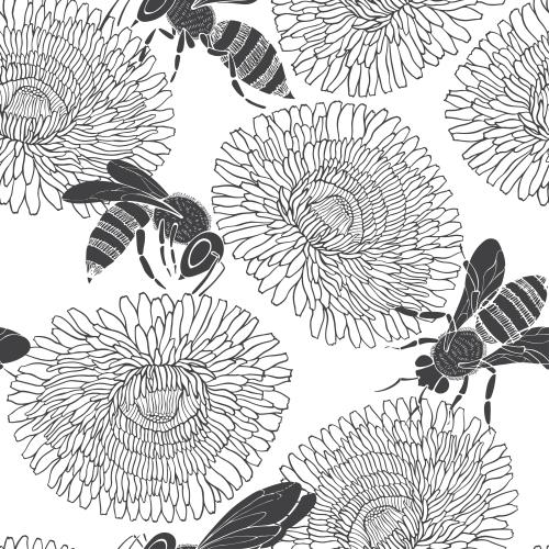 Dandelion. Vector monochrome bees and dandelions on white
