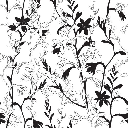 Montbretia. Vector montbrezia, contours and silhouettes of flowers on white
