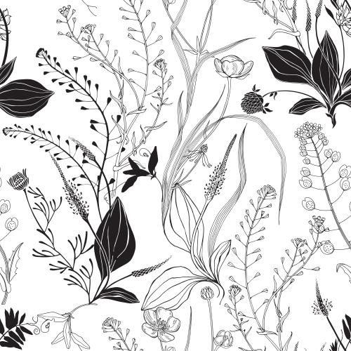Grass. Vector celandine, chamomile, plantain, shepherd's purse, grass on white