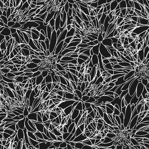 Rudbeckia. Vector rudbeckia white outlines of flowers on black