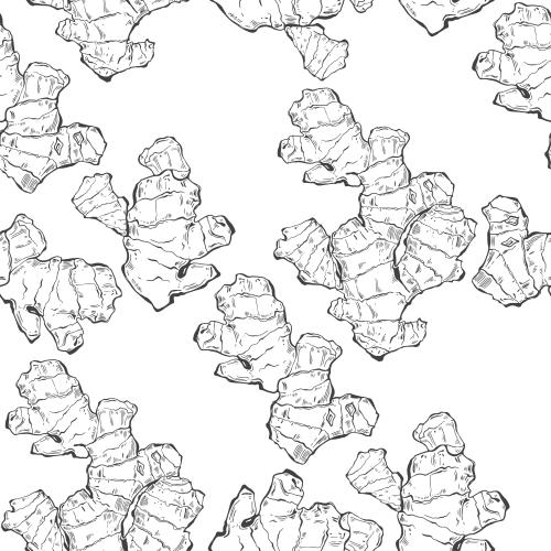 Spice. Vector ginger on white