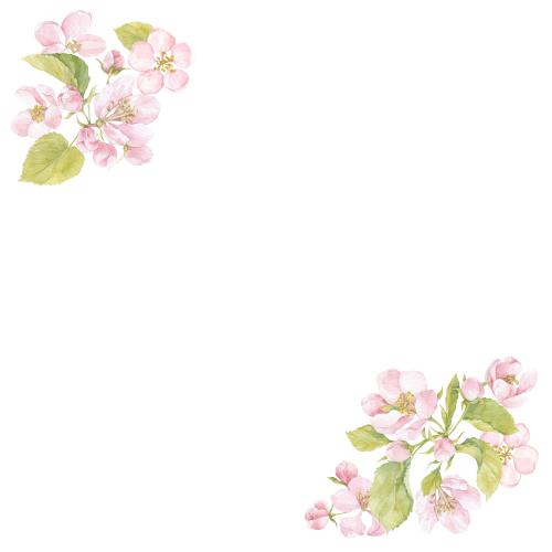 Illustration watercolor flowers and leaves of the apple tree, space for text on white, corner composition