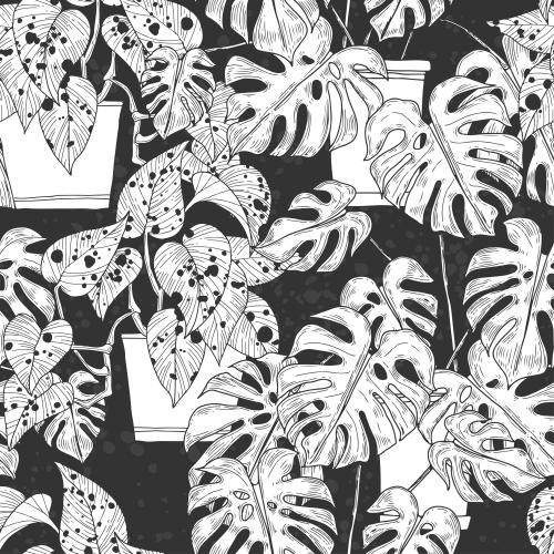 Blot. Vector indoor plants in pots on textured black