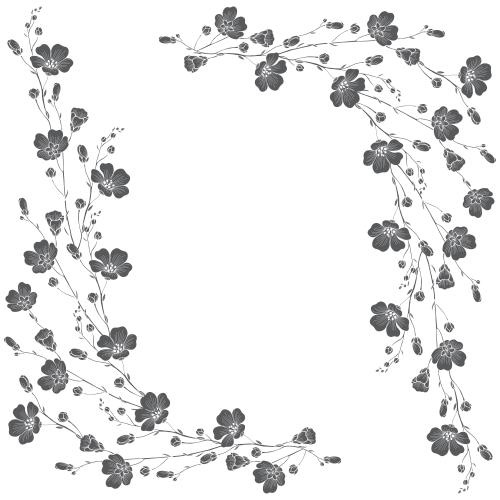 Flax. Vector bloomed flax branches black silhouettes space for text on white