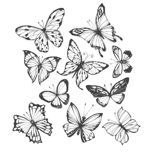 Vector image butterflies on white