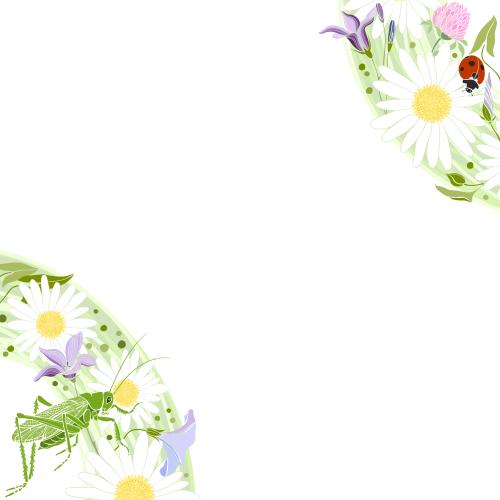 Illustration flowers grasshopper ladybug text area on white corner composition