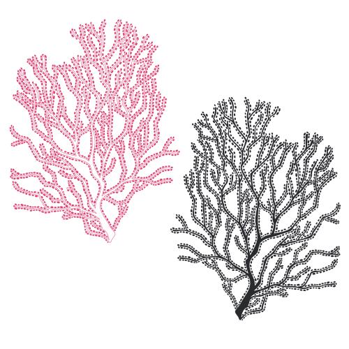 Illustration corals two options on white