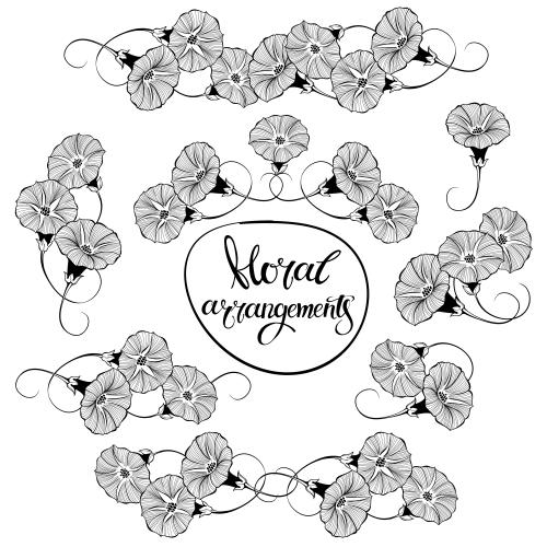 Bindweed. Vector decorative compositions with morning glory flowers on white