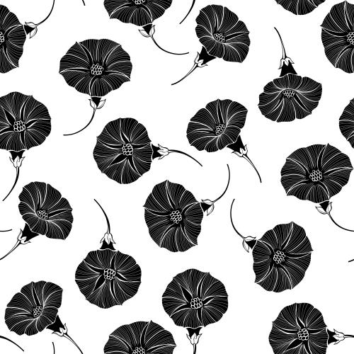 Bindweed. Vector morning glory flowers, black silhouettes on white