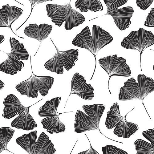 Ginkgo biloba. Vector ginkgo biloba, leaves on white