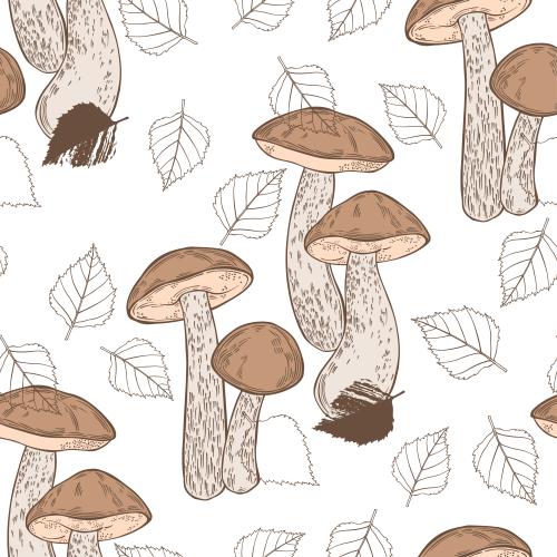 Vector image birch boletes mushrooms white birch leaves