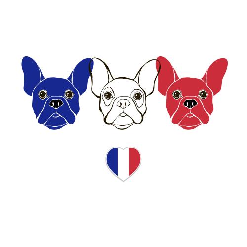 Symbol. Vector cute faces of french bulldogs in the colors of the french flag, french flag heart on white