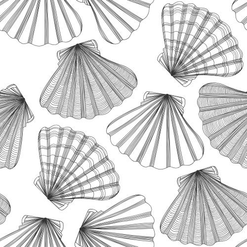 Scallop. Vector combs on white