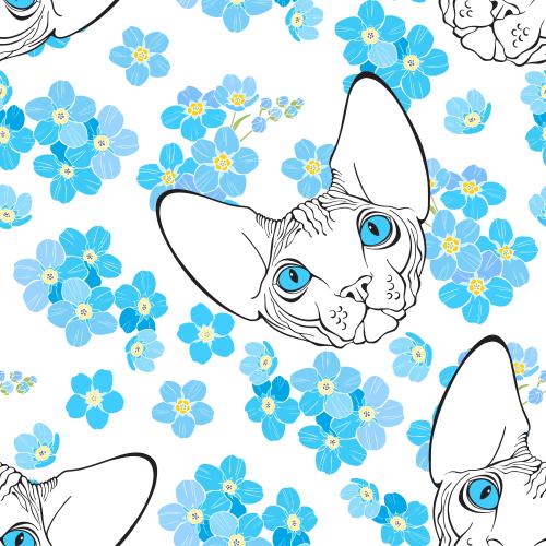 Sphinx cat. Vector sphinx cats, cute faces and flowers of forget-me-nots on white