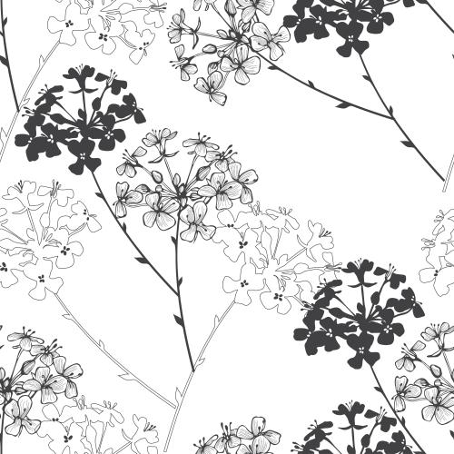 Illustration flowers black outlines and silhouettes on white
