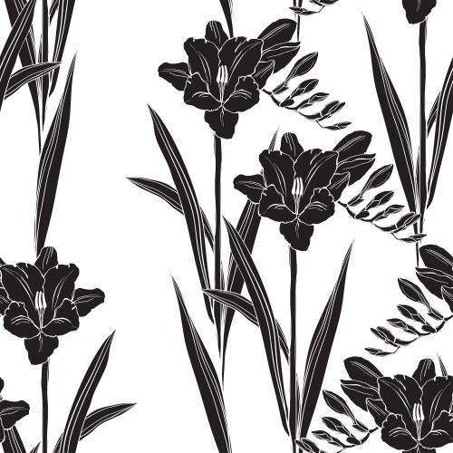 Freesia. Vector freesias black silhouettes on white