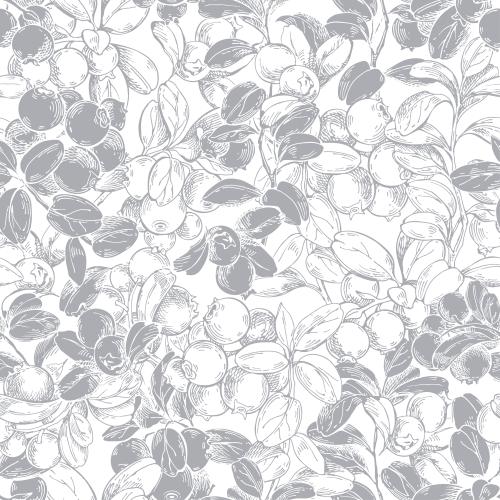 Illustration gray contours and silhouettes of cranberry branches on white
