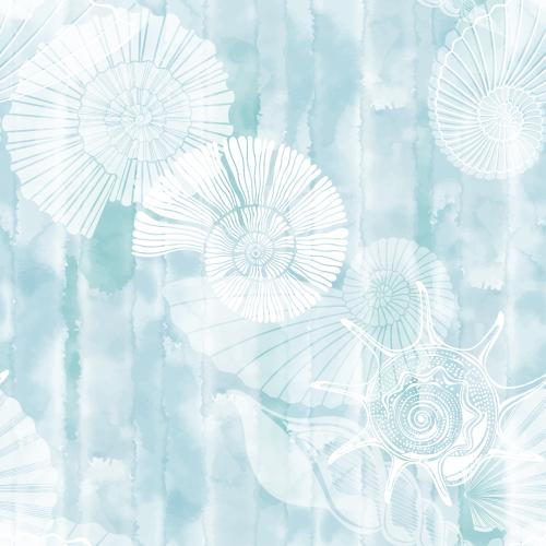 Scallop. Vector nautiluses, shells, comb shells on blue watercolor