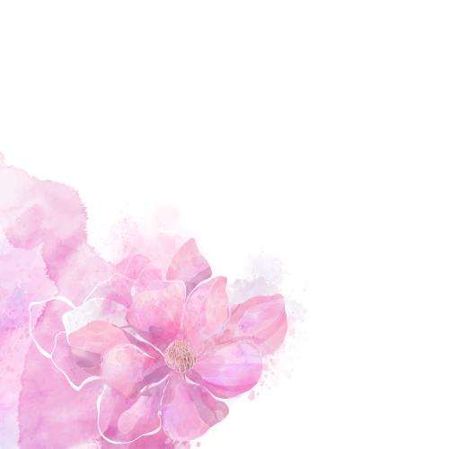 Raster image magnolia on pink watercolor, text area on white, corner composition