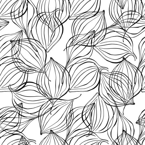 Illustration decorative leaves black outlines on white