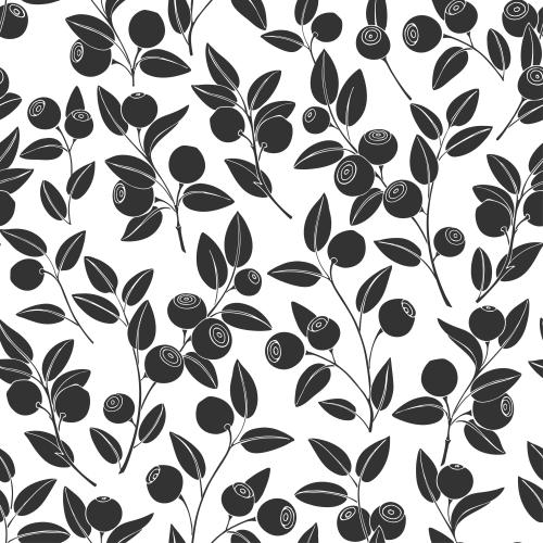 Bilberry. Vector blueberry branches with berries, black silhouettes on white
