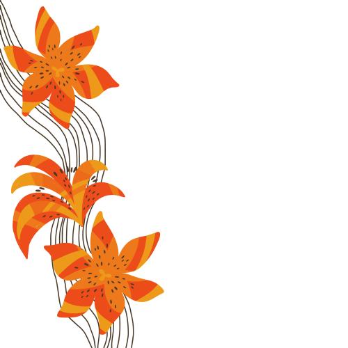 Illustration stylized lily flowers wavy lines and space for text on white