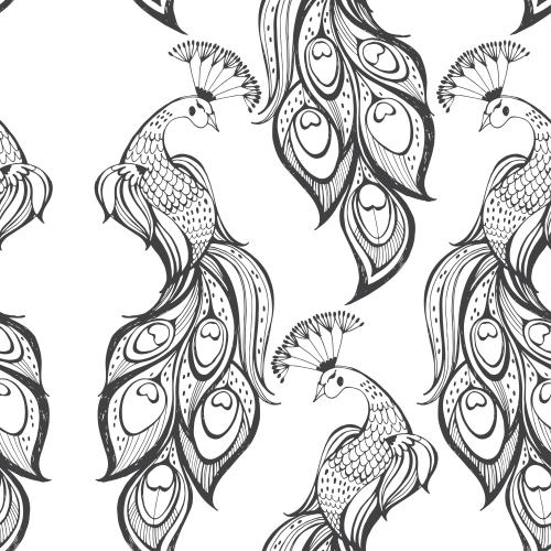 Bird. Vector peacocks on white