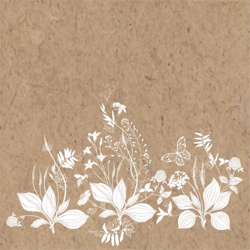 Bee. Vector plantain, shepherd's purse, chamomile, clover, field flowers, butterfly, bees, craft text area